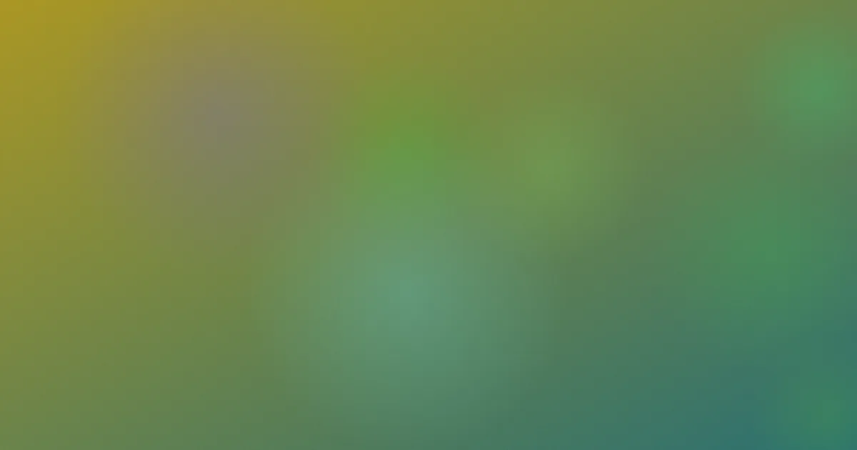 b站免费推荐：新手对比